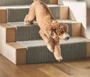 carpet-selection-considerations